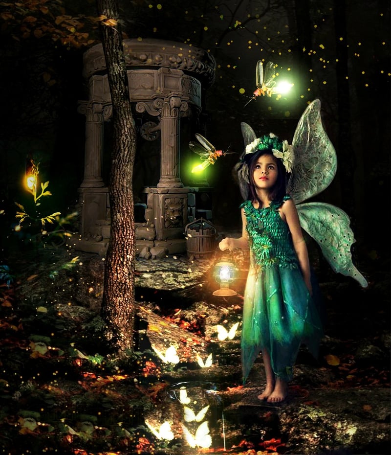 Fairy Costume